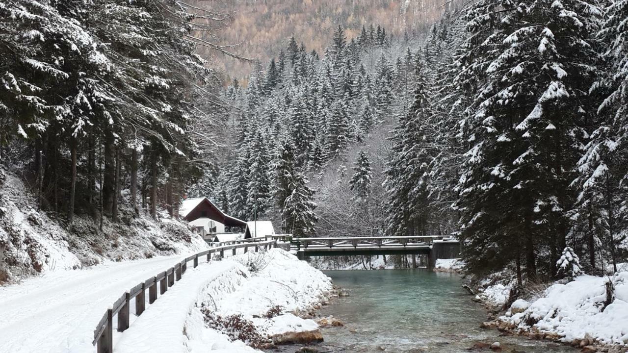 Yellow Apartma Kranjska Gora Apartment Екстериор снимка