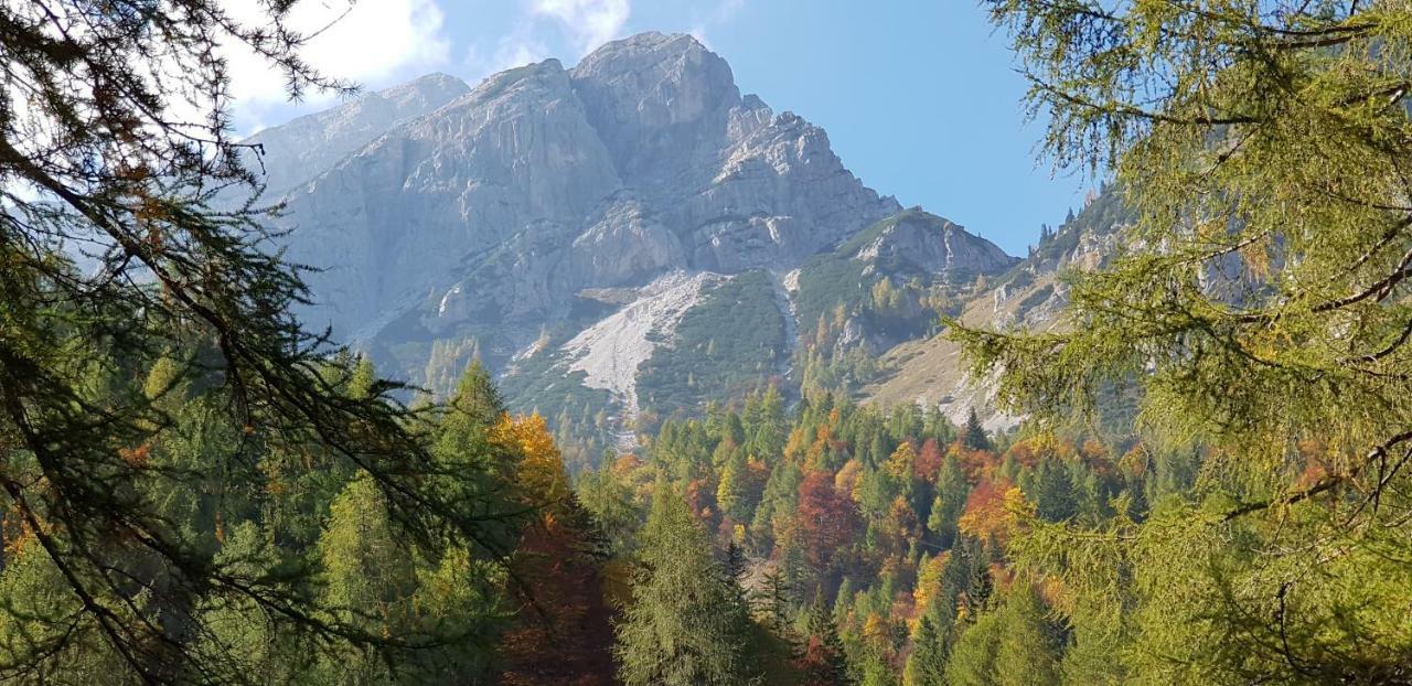 Yellow Apartma Kranjska Gora Apartment Екстериор снимка